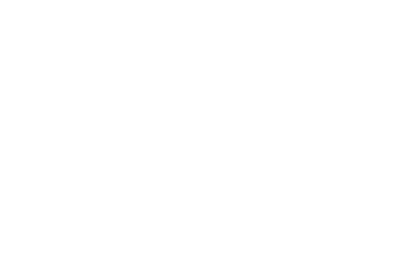Fitz Aesthetics & Wellness Logo White - Edmond Oklahoma Med Spa